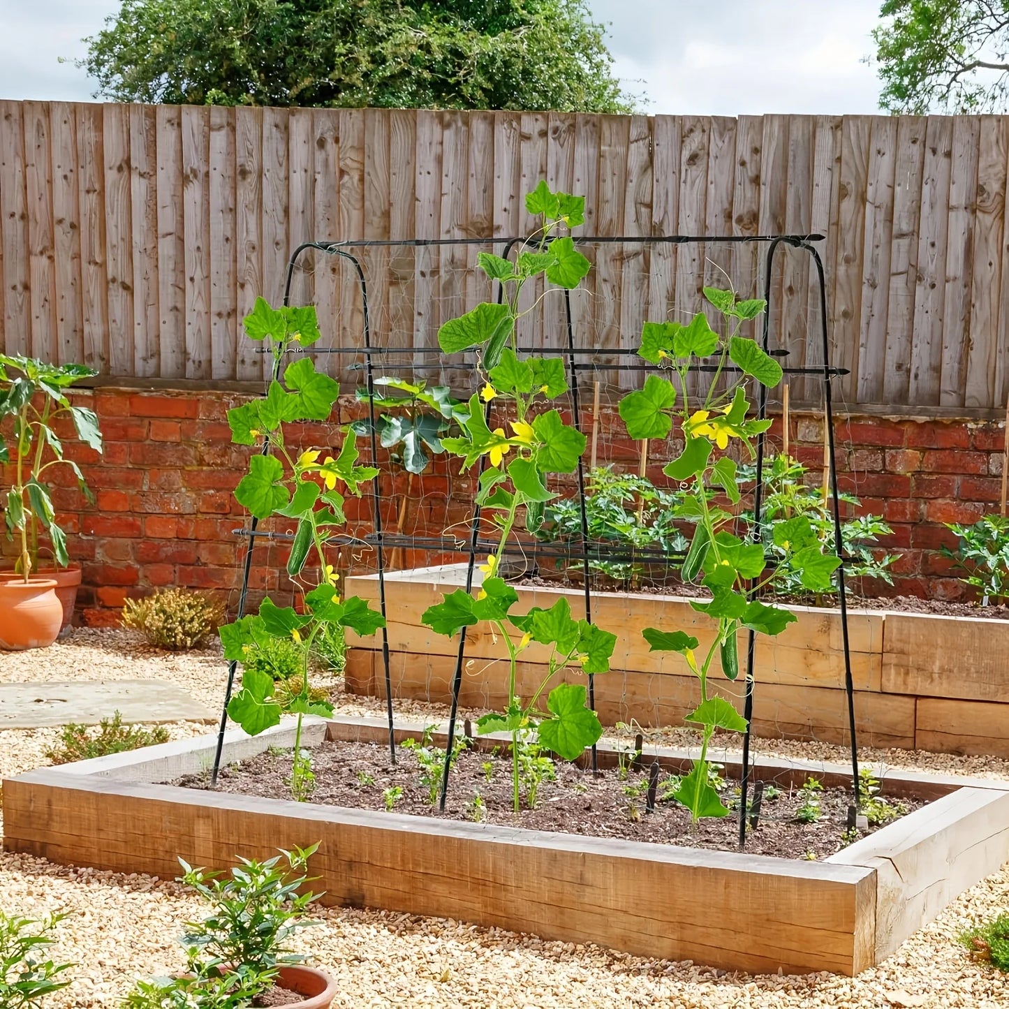 70 Inch Garden Trellis Cucumber Climbing Frame Tunnel