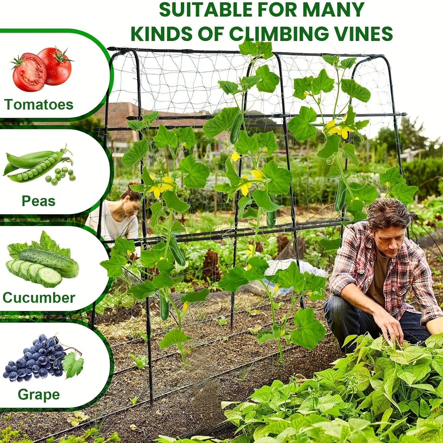 70inch Garden Trellis, Cucumber Trellis, Plant vegetable climbing frame, cucumber trellis metal, Garden Tunnel Trellis with